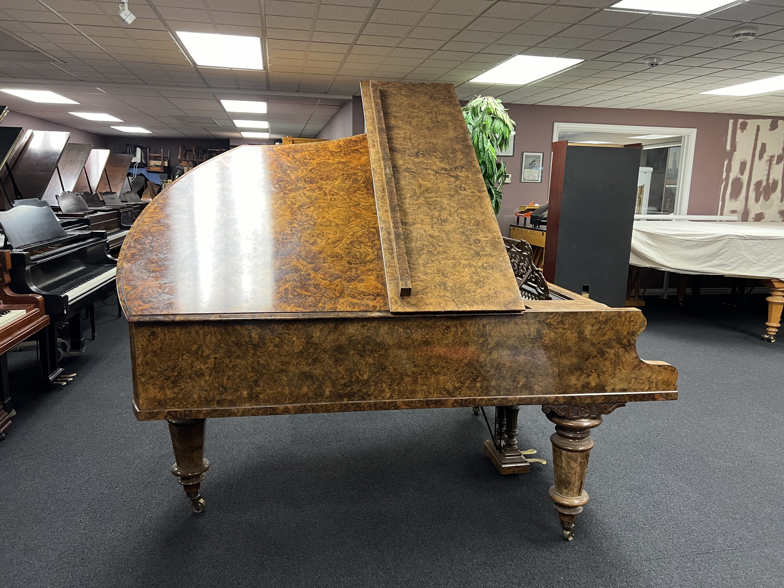 Bechstein Model V 6'7" Burled Walnut - Image 13