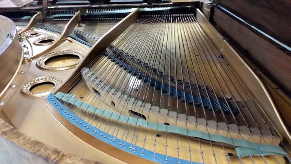 Bechstein Model V 6'7" Burled Walnut - Image 7