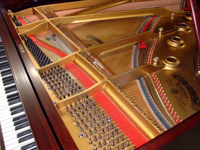 heintzman fl1