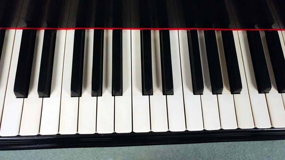 Steinway & Sons Model "D" 9' Concert grand - Image 11