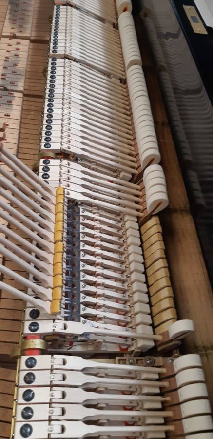 Steinway & Sons Model "D" 9' Concert grand - Image 12