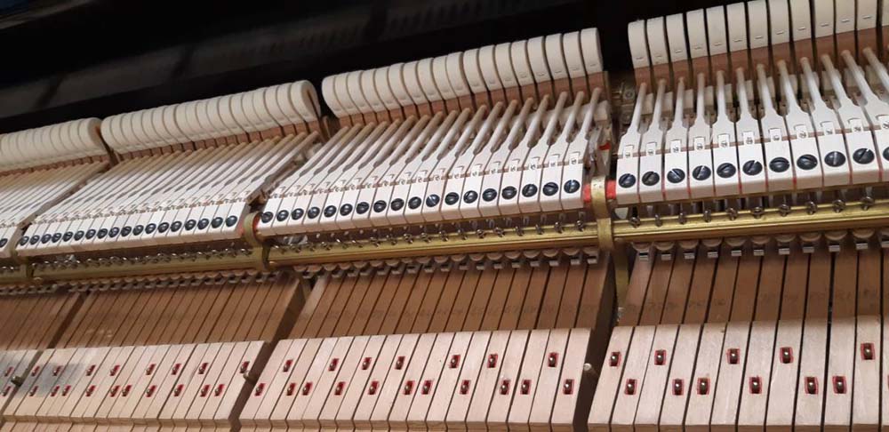 Steinway & Sons Model "D" 9' Concert grand - Image 7