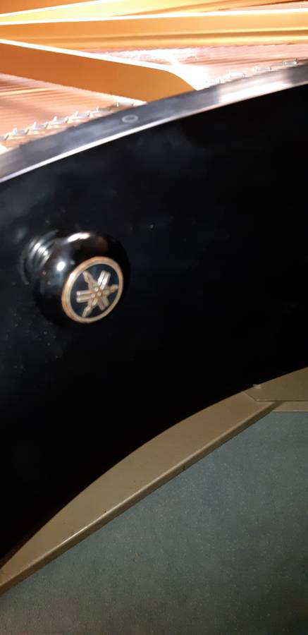 Yamaha CF Concert Grand 9' - Image 9