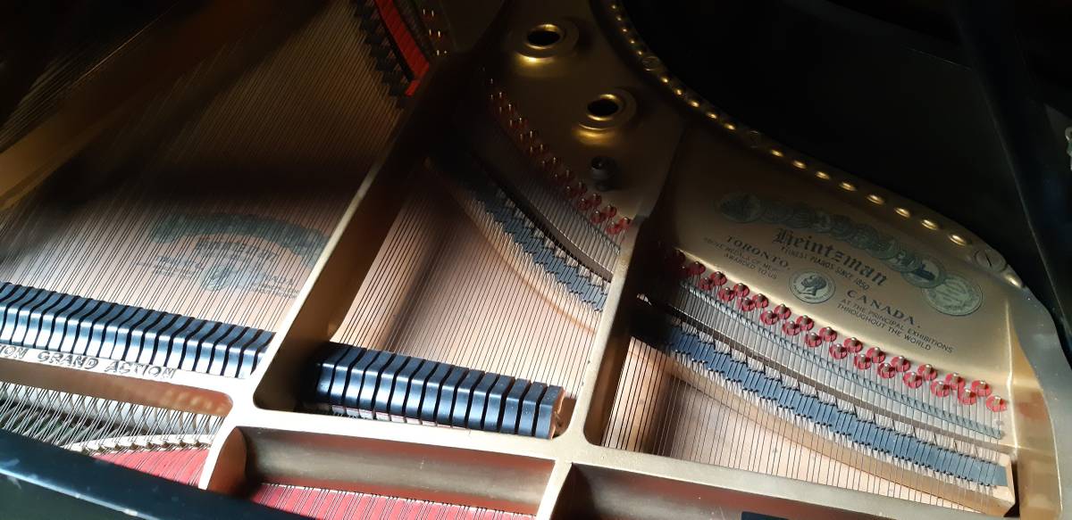 1928 Heintzman 6'11" Satin Ebony - Image 3